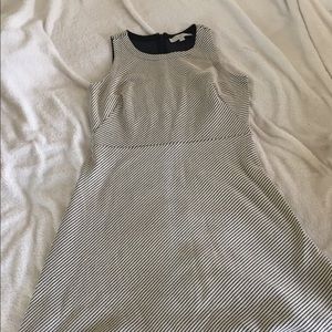 Loft dress 8p new without tags